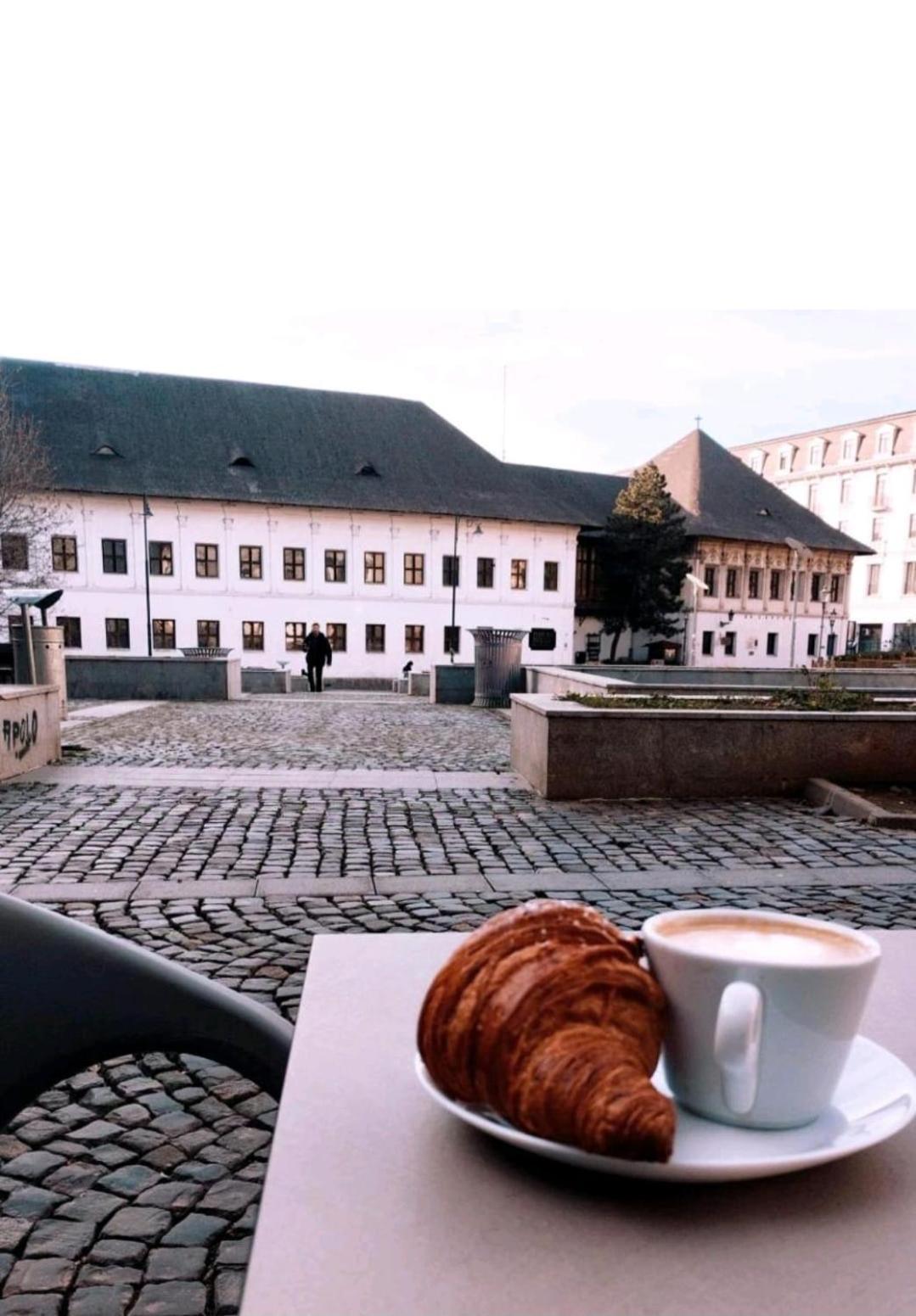 The Cozzy Corner Apartments Bukarest Eksteriør billede